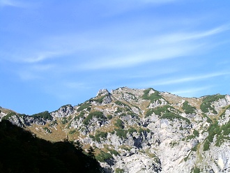 Stripsenkopf